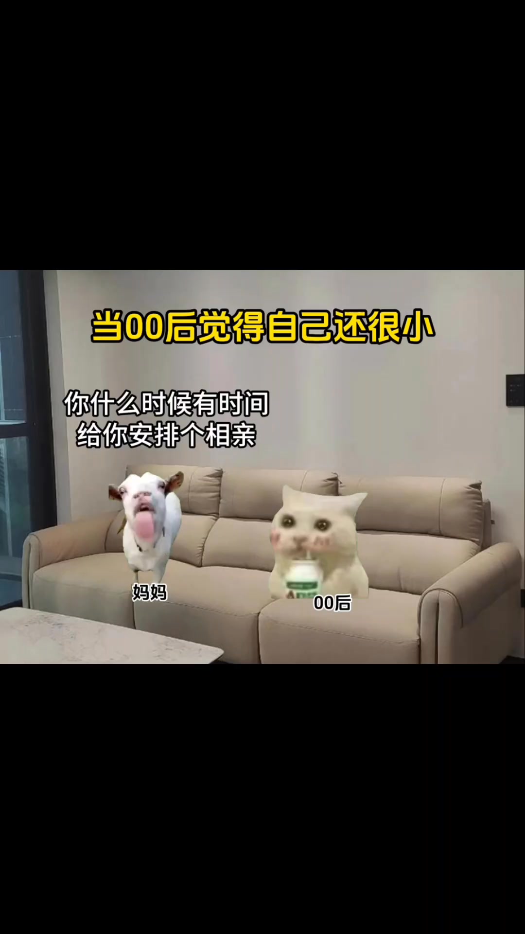 当00后觉得自己还很小 #猫meme #万万没想到 #00后 #意想不到的结局 | 小猫meme呀 | Facebook