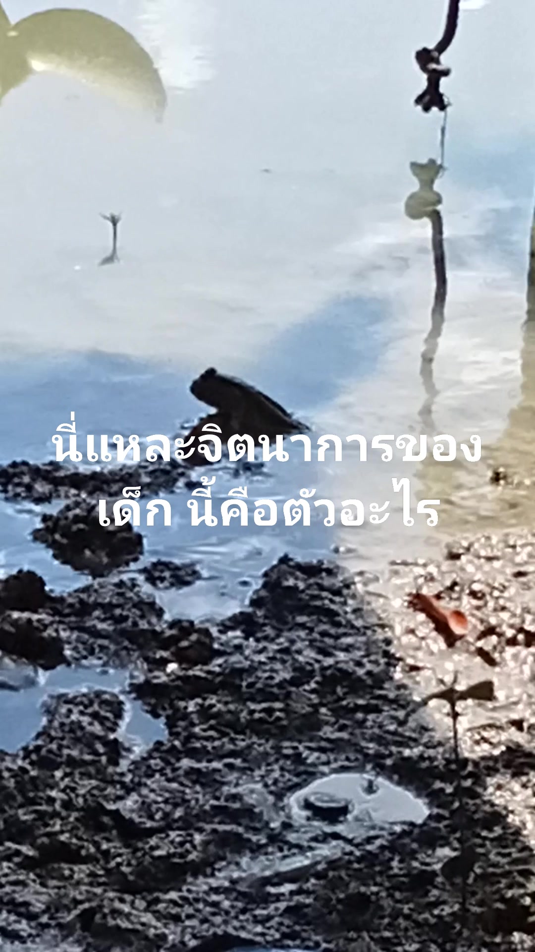 เพาซี ดือราแม
