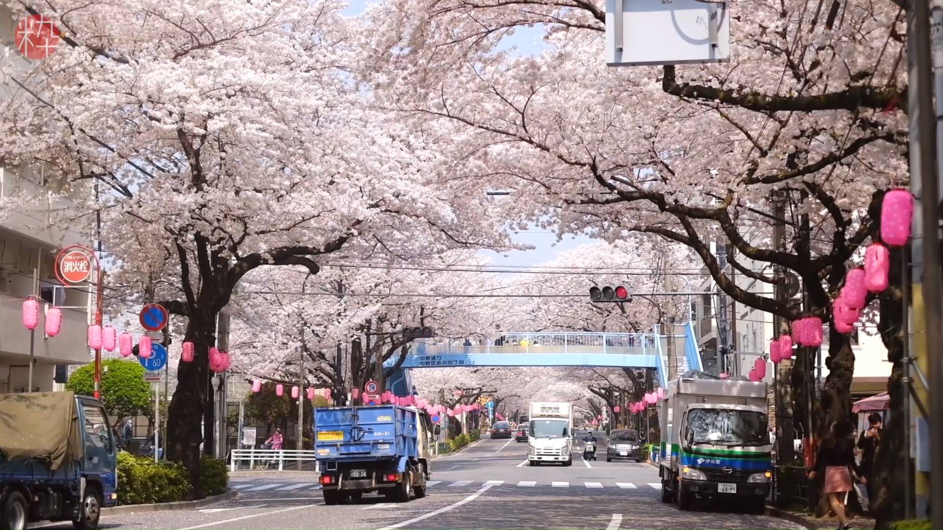 araiyakushi mae station