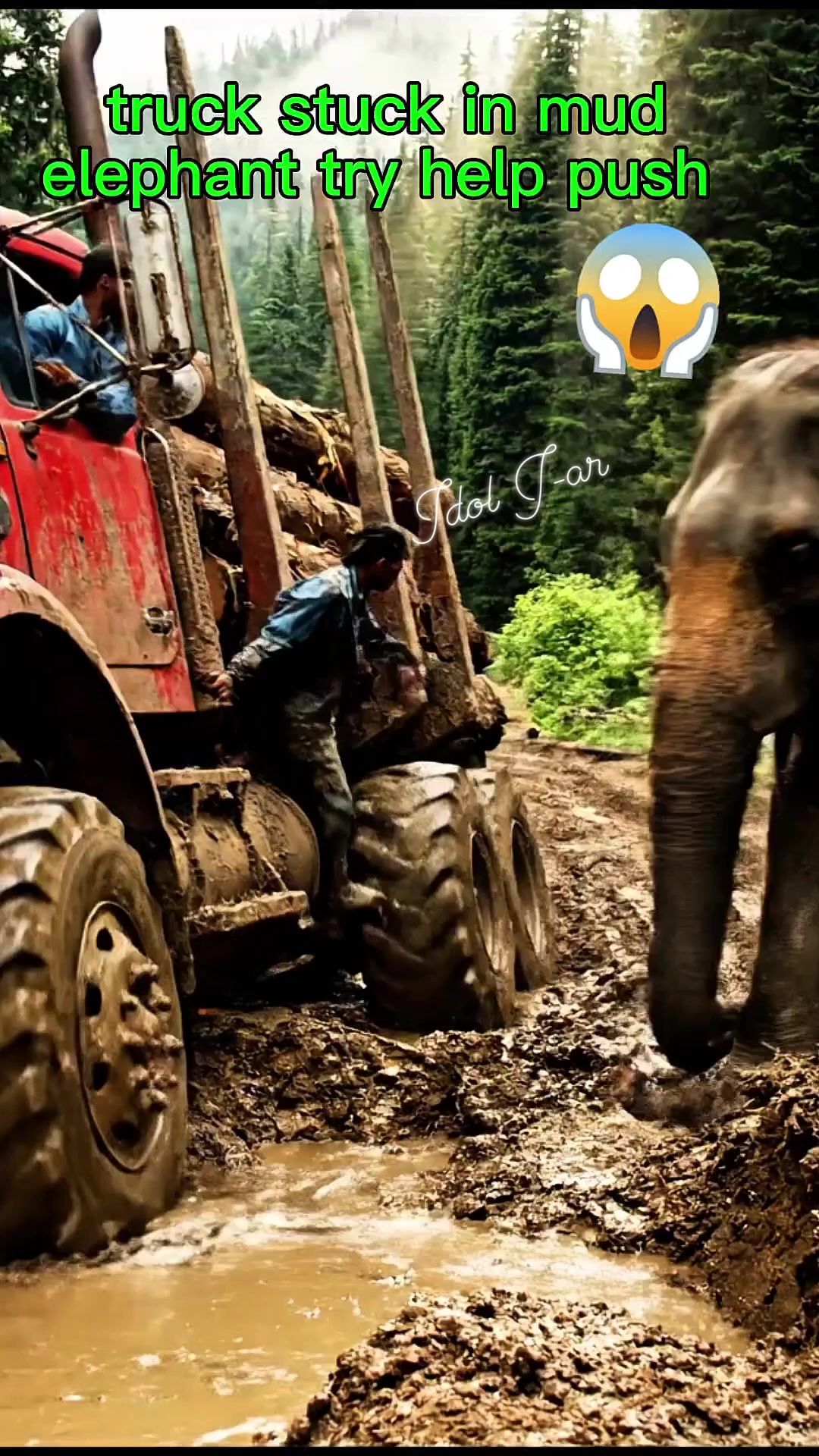Cargo truck stuck in mud elephant try help to push #fblifestyle # ...
