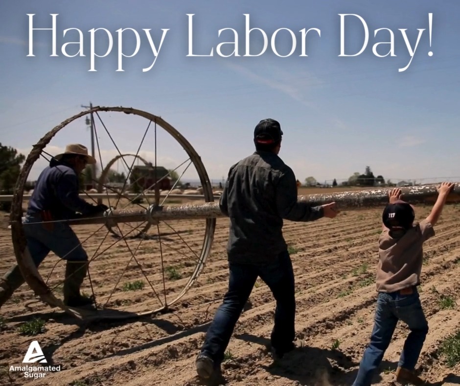 Today, we pause to honor the hard work and dedication of all those who ...