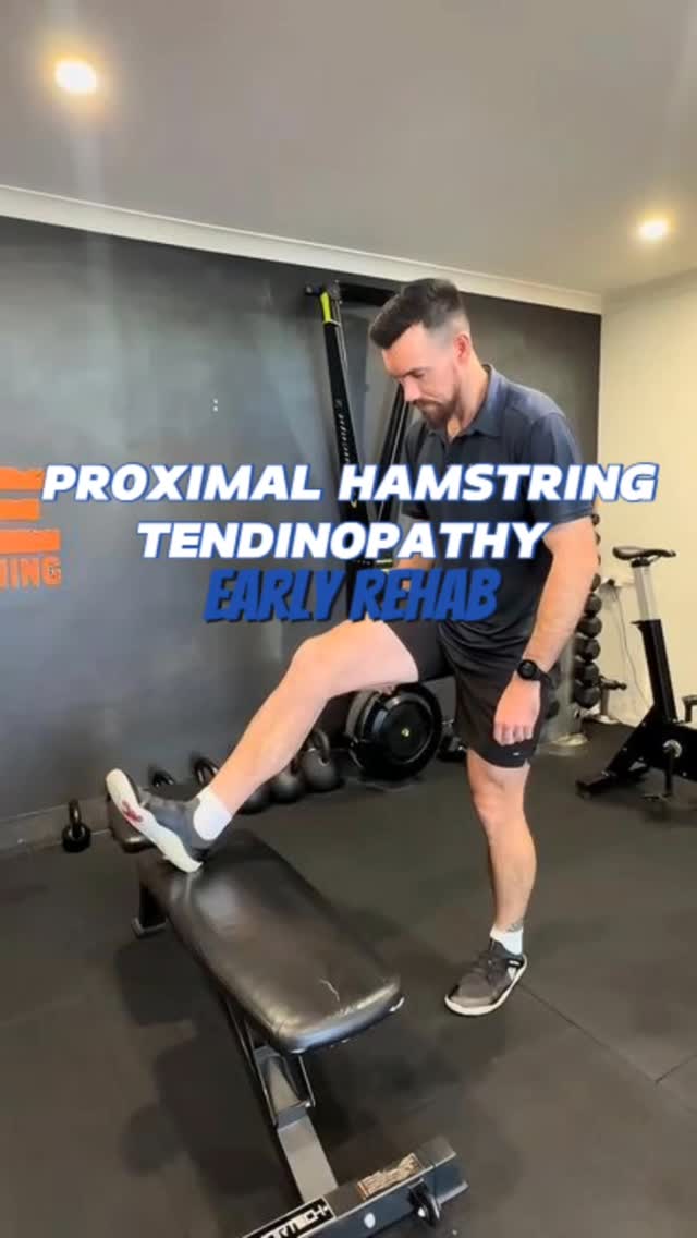 Proximal Hamstring Tendinopathy - Early Rehab Dealing with stubborn ...