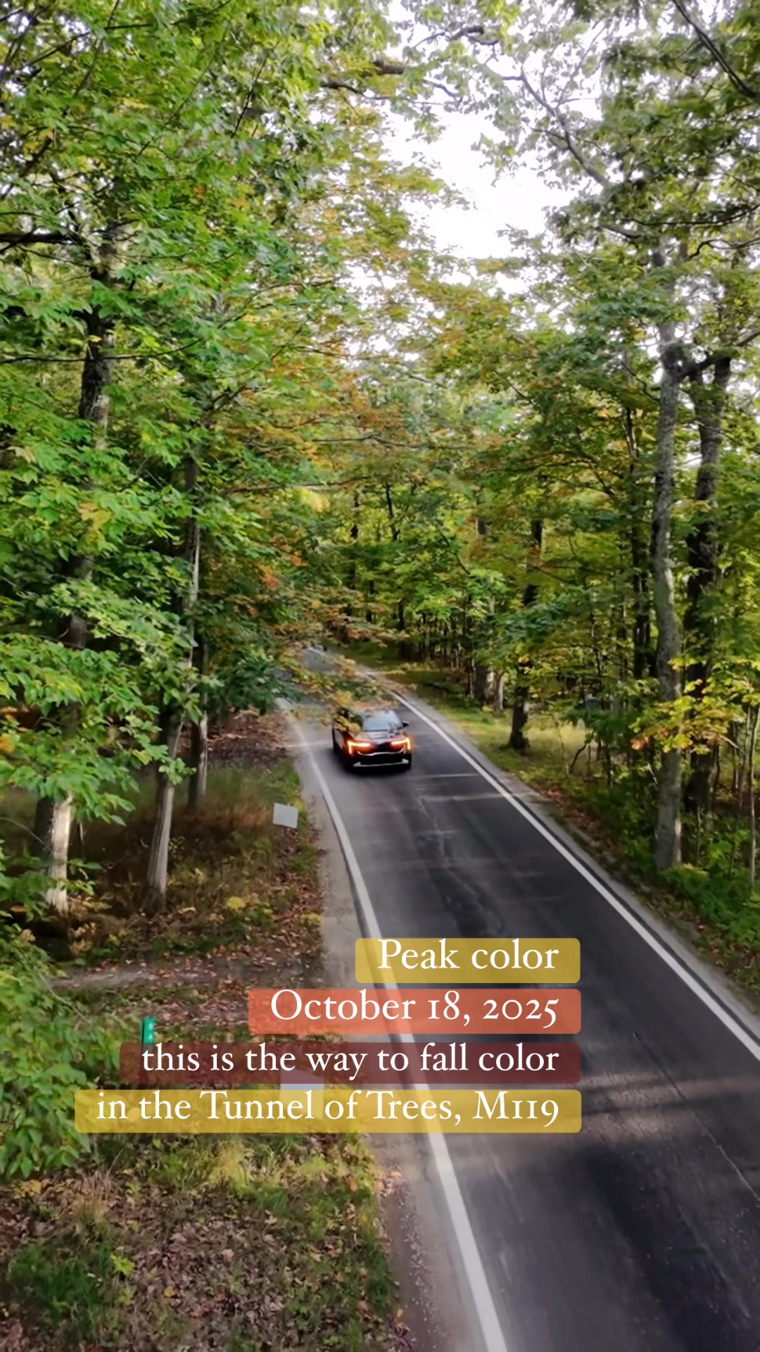 PEAK COLOR UPDATE: October 18, 2025. Because of the warm weather the ...