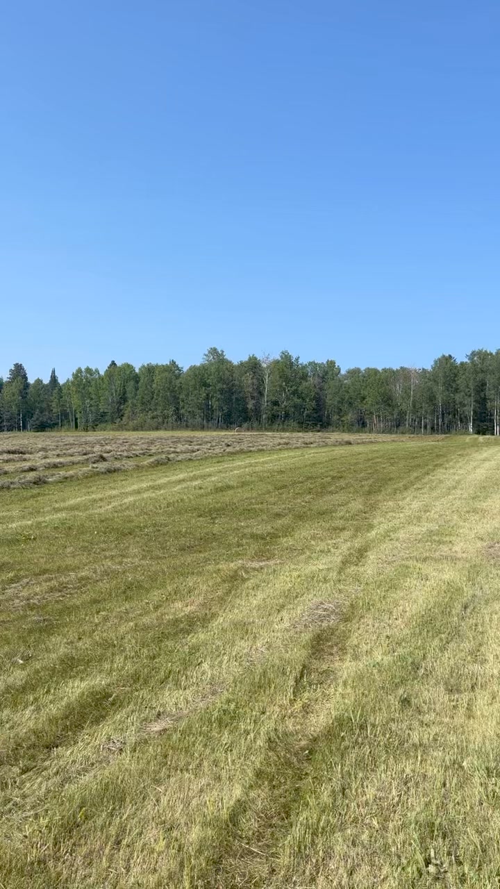Windy Ridge Ranch on Reels | Facebook