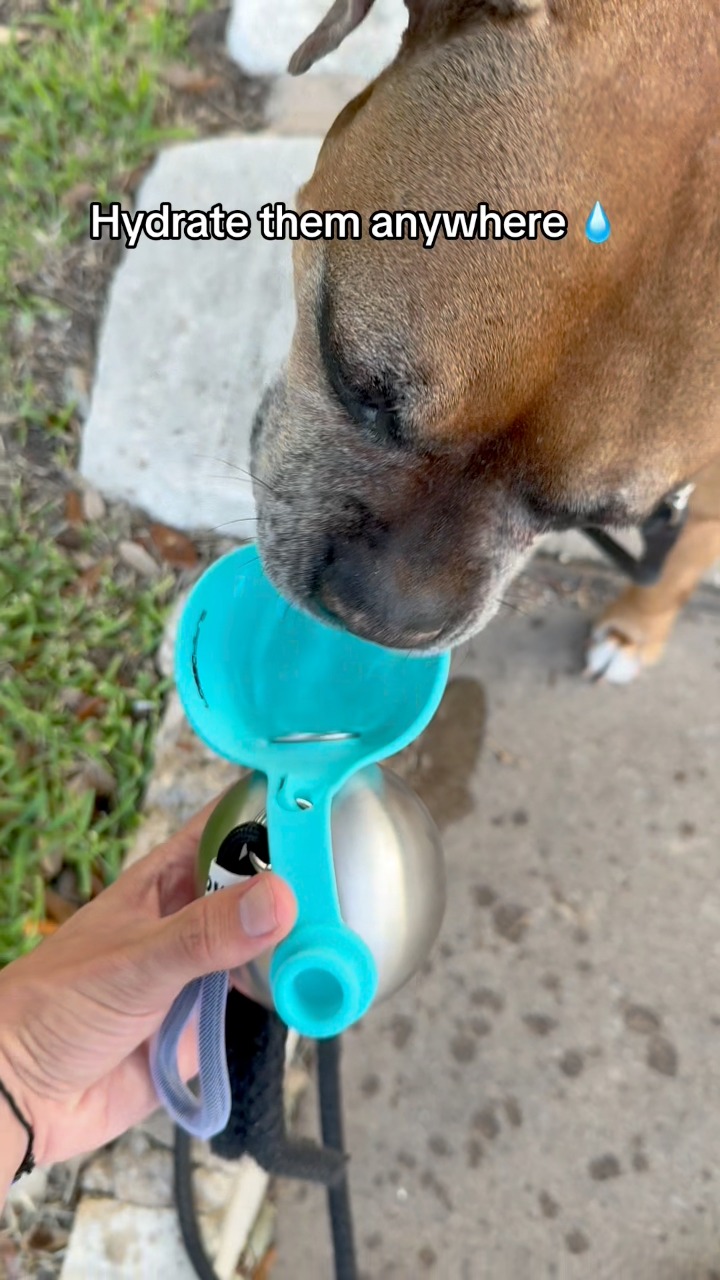 Make every walk and trip easier for your pup 🐾 The Portable Dog