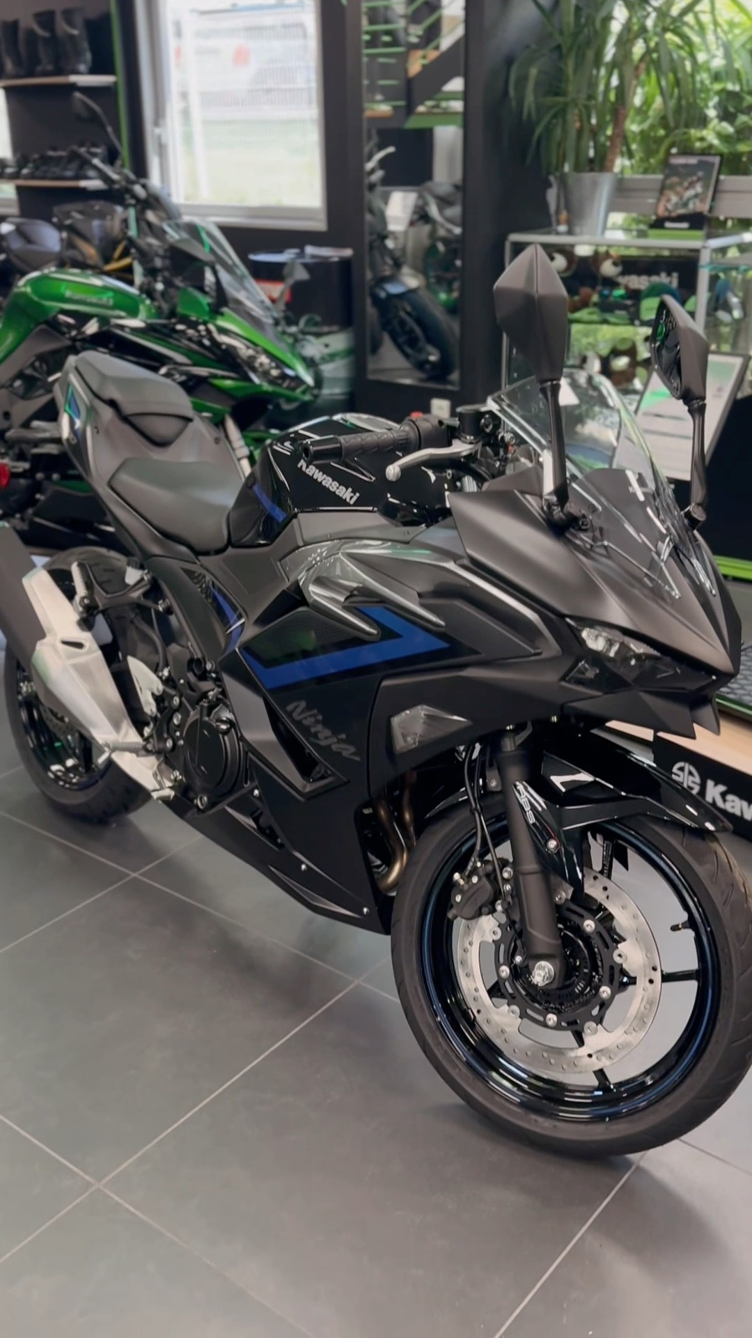 Ninja 500 SE 💙 | Transact'motos