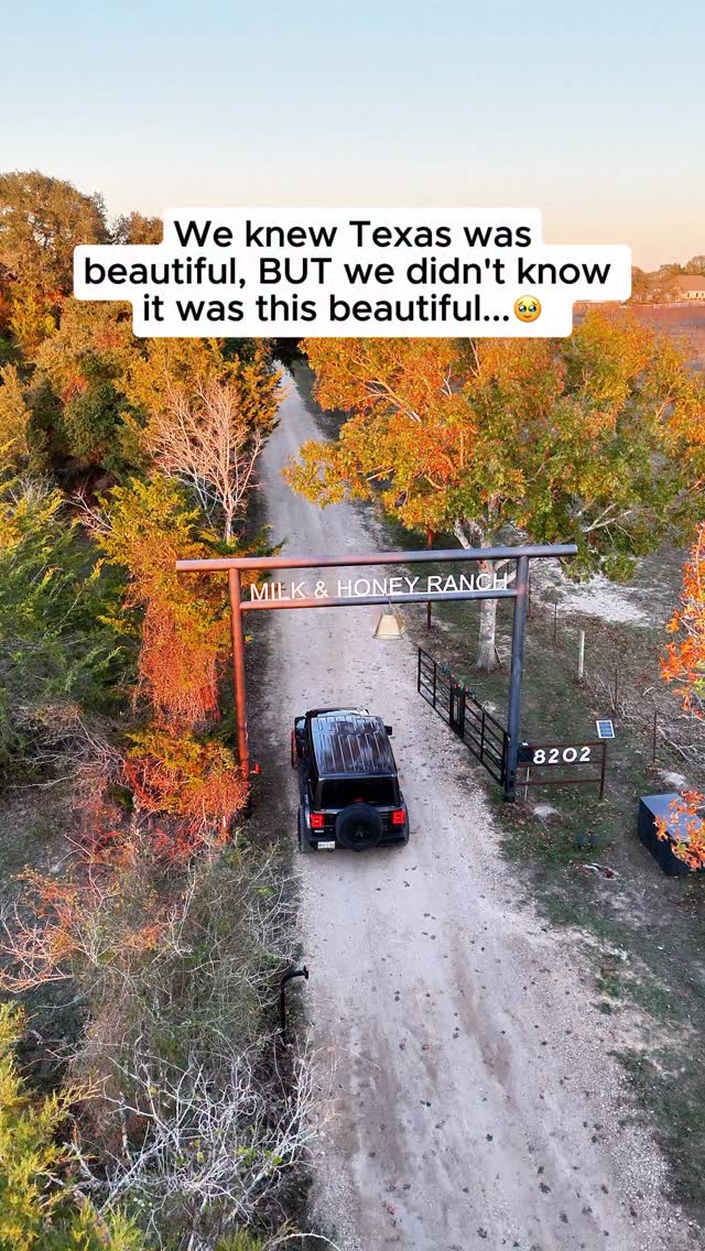 Send this to your friend who lives in Texas 🇺🇸 📍 Milk & Honey Ranch ...