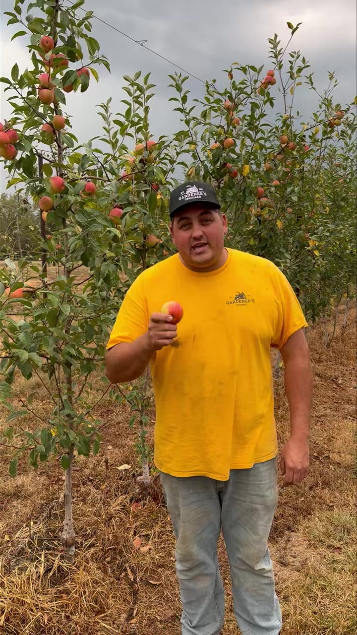 What's going on in The Little Apple? More than you think