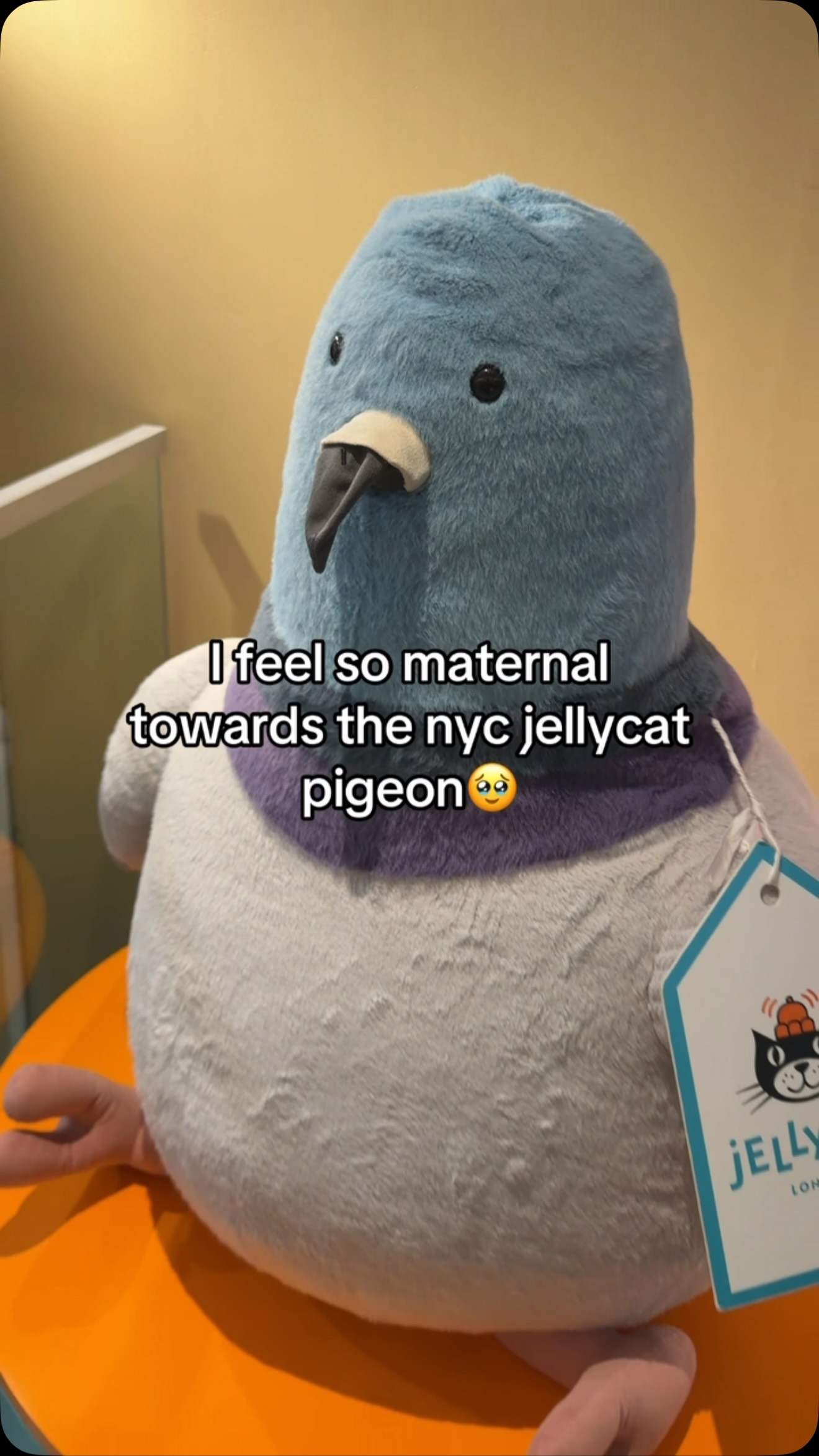 I love the NYC Jellycat Pigeon!! #fyp #jellycat #nyc | Cherrioz
