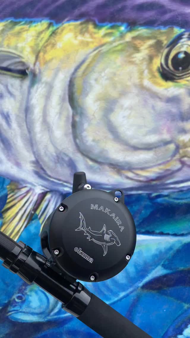 bougle fly reel Hardy - 3