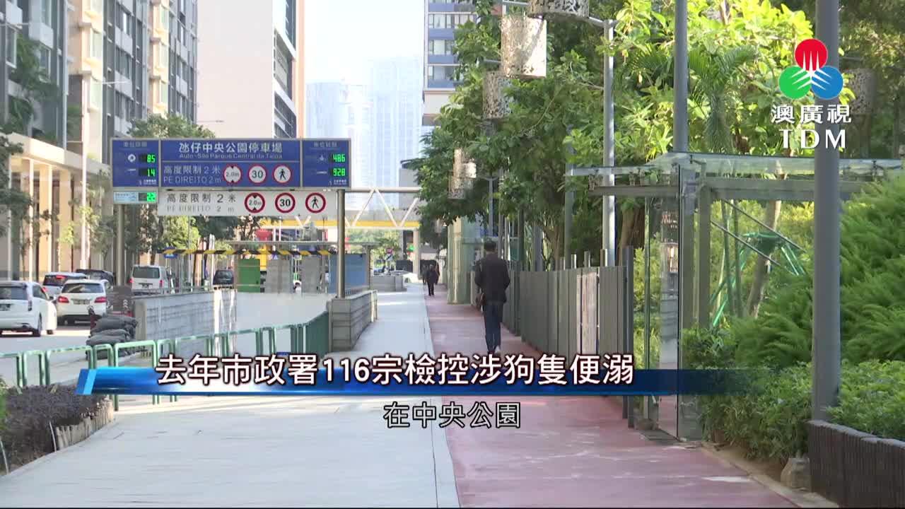 去年市政署116宗檢控涉狗隻便溺 近日有市民反映氹仔中央公園周邊，經常有狗隻隨地便溺，影響公共環境衛生。有市政署市政諮詢委員會委員建議加強巡查 ...