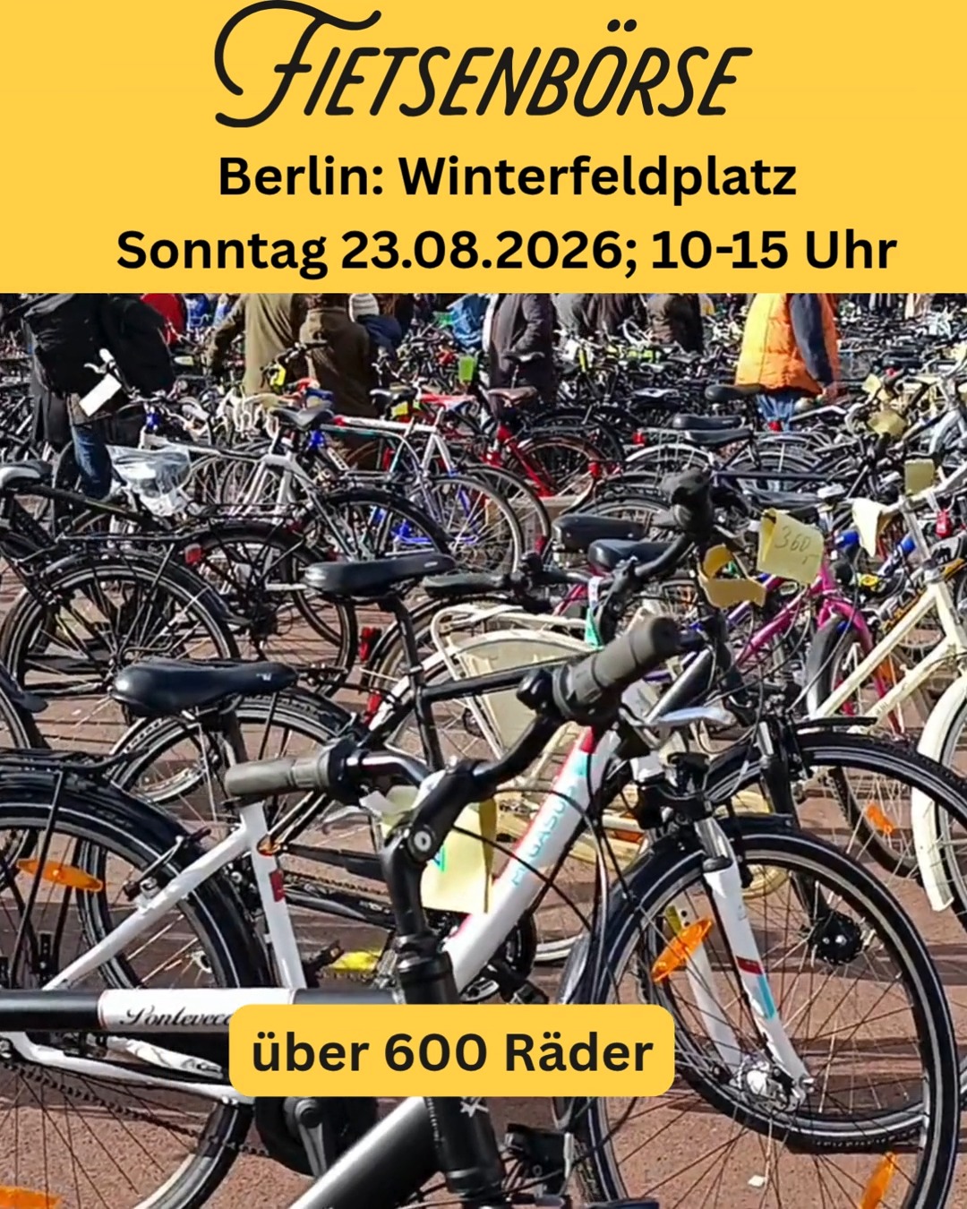 rennrad nostalgie Sloughi Retro 1985 – Handgefertigter Columbus Rahmen, Sachs – Bici No.1 Color:Midnight River RONDO Gravel Bikes & Mercury Maintenance & Gear Lube Kits