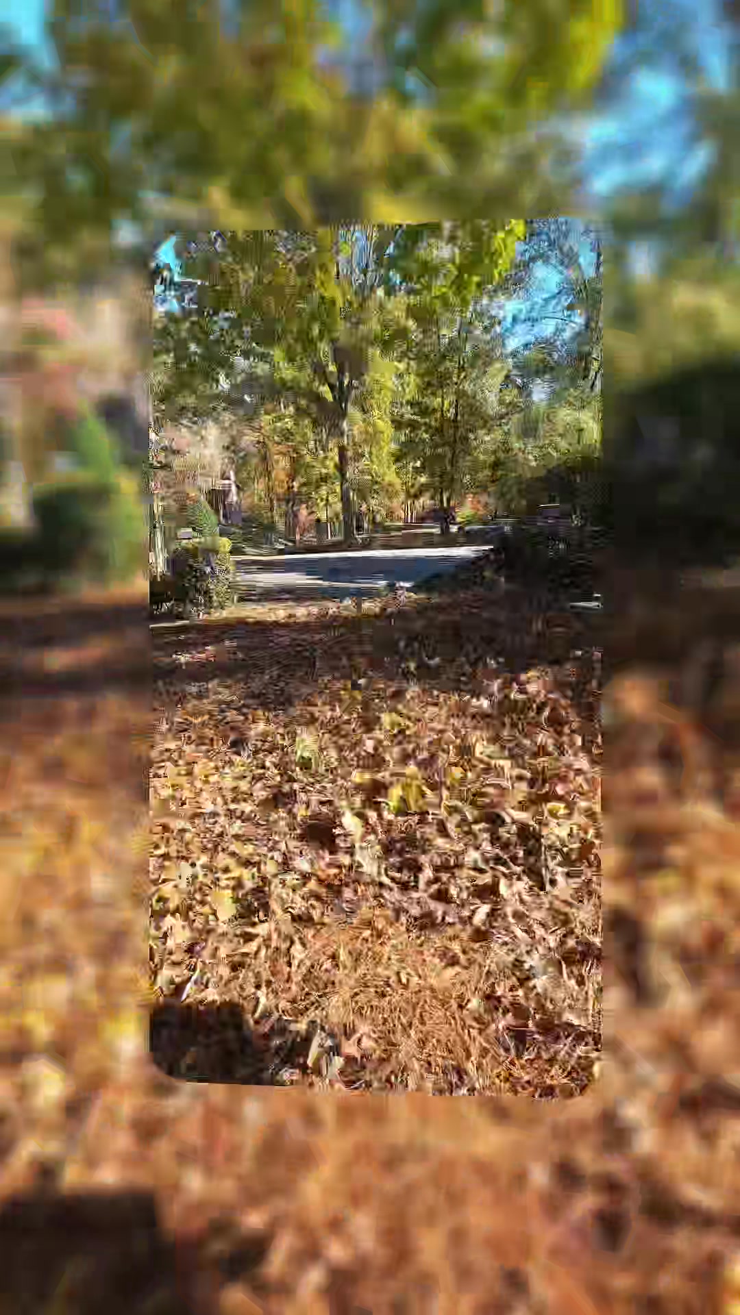 #Lawn #maintenance life: show up, put in work, repeat👊 | North Georgia ...