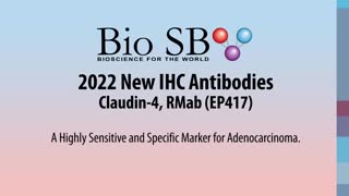 Bio SB is proud to announce the launch of our new Claudin-4 #IHC # ...