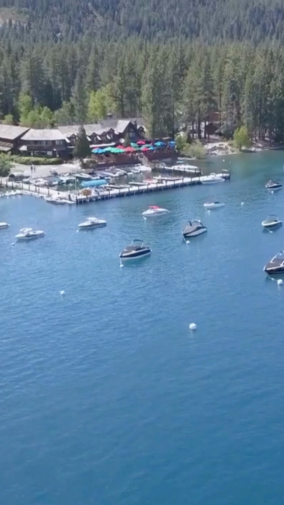 Tahoe in summer is a VIBE! | Sunnyside Restaurant and Lodge