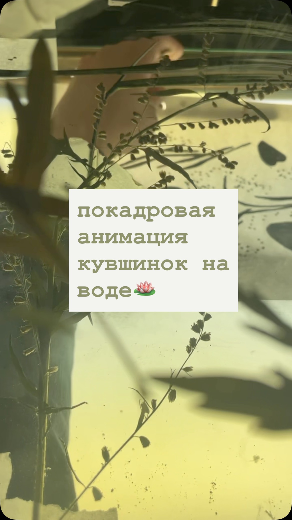 slow animation #2danimation #2данимация #art #анимация #animation # ...