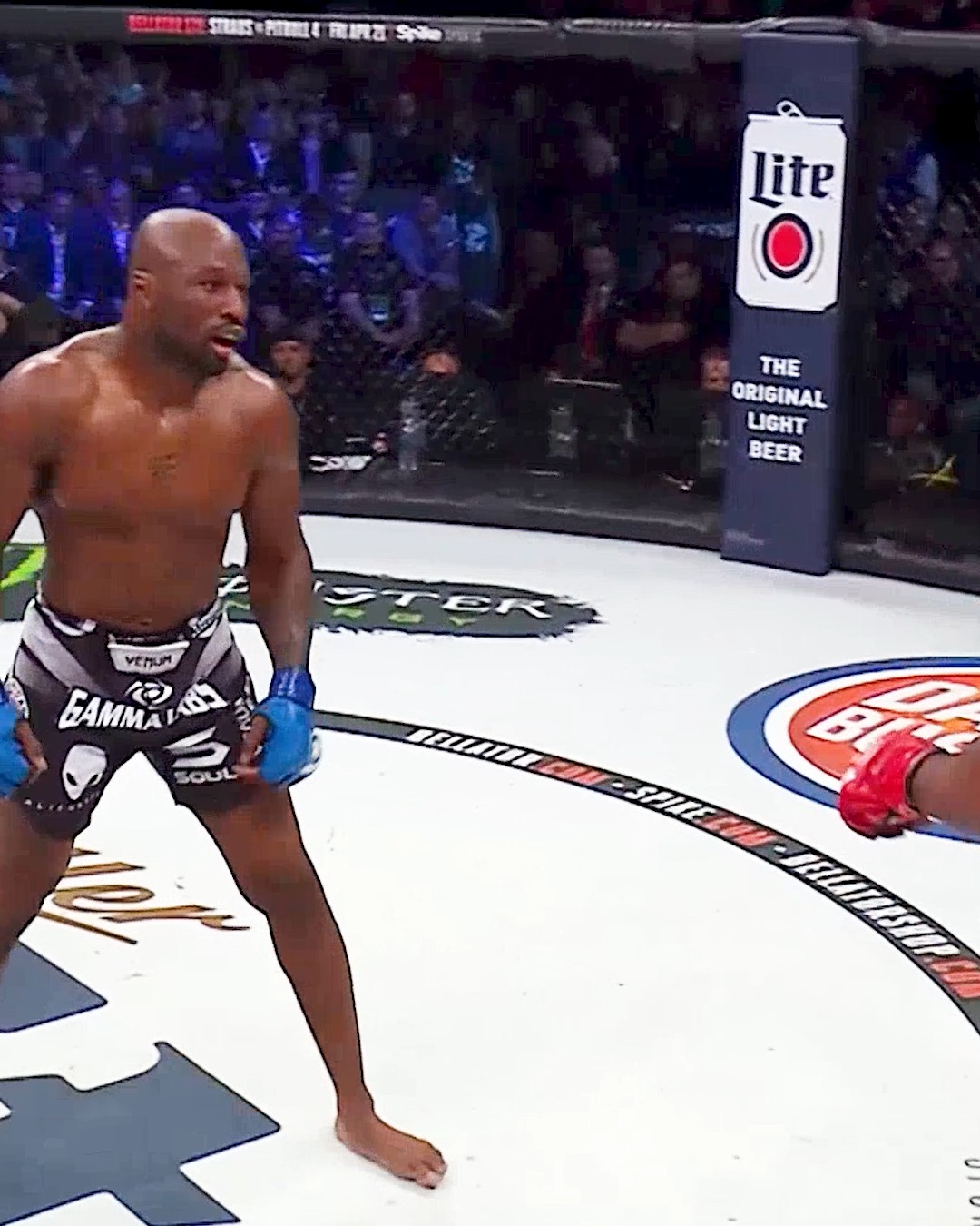 Bellator MMA (@BellatorMMA) • Facebook