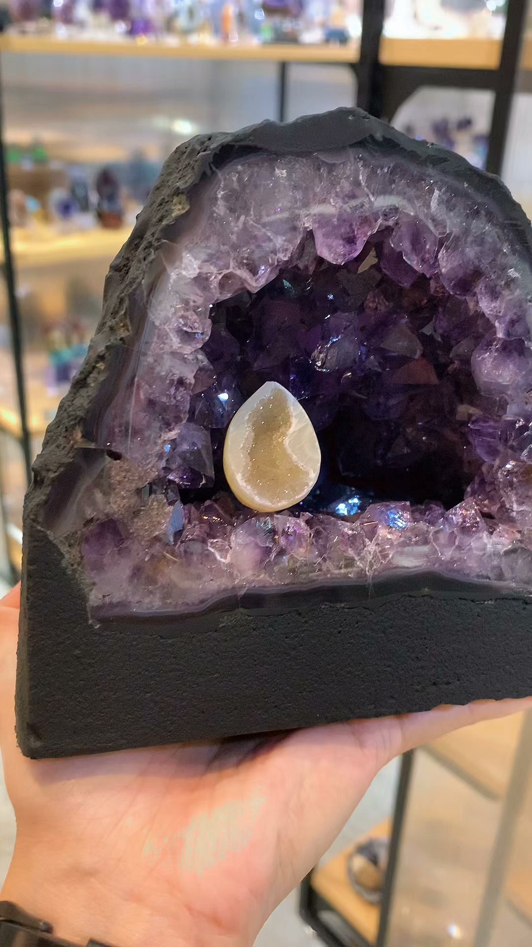 亮唷～ 再搭个黄蛋🍳 Amethyst Geode with rutile有钛晶的紫水晶洞