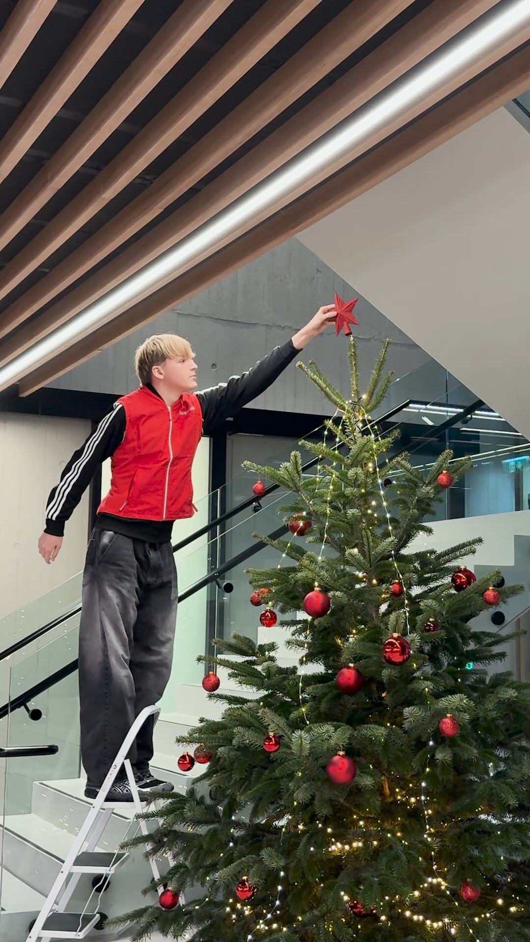 🎄✨ Gemeinsam wird’s festlich ✨🎄, Mit viel Teamgeist, Kreativität und Freude haben unsere BAUHAUS Mitarbeiter und Mitarbeiterinnen diesen Christbaum geschmückt. So sieht Weihnachten bei uns aus –