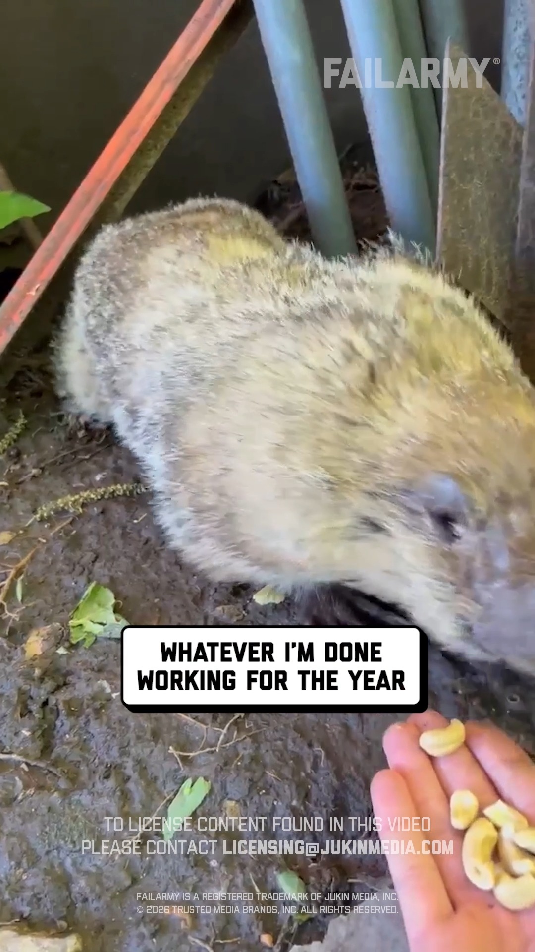 meteorologists are generally underpaid 😩 🤣 #groundhog #groundhogday # ...
