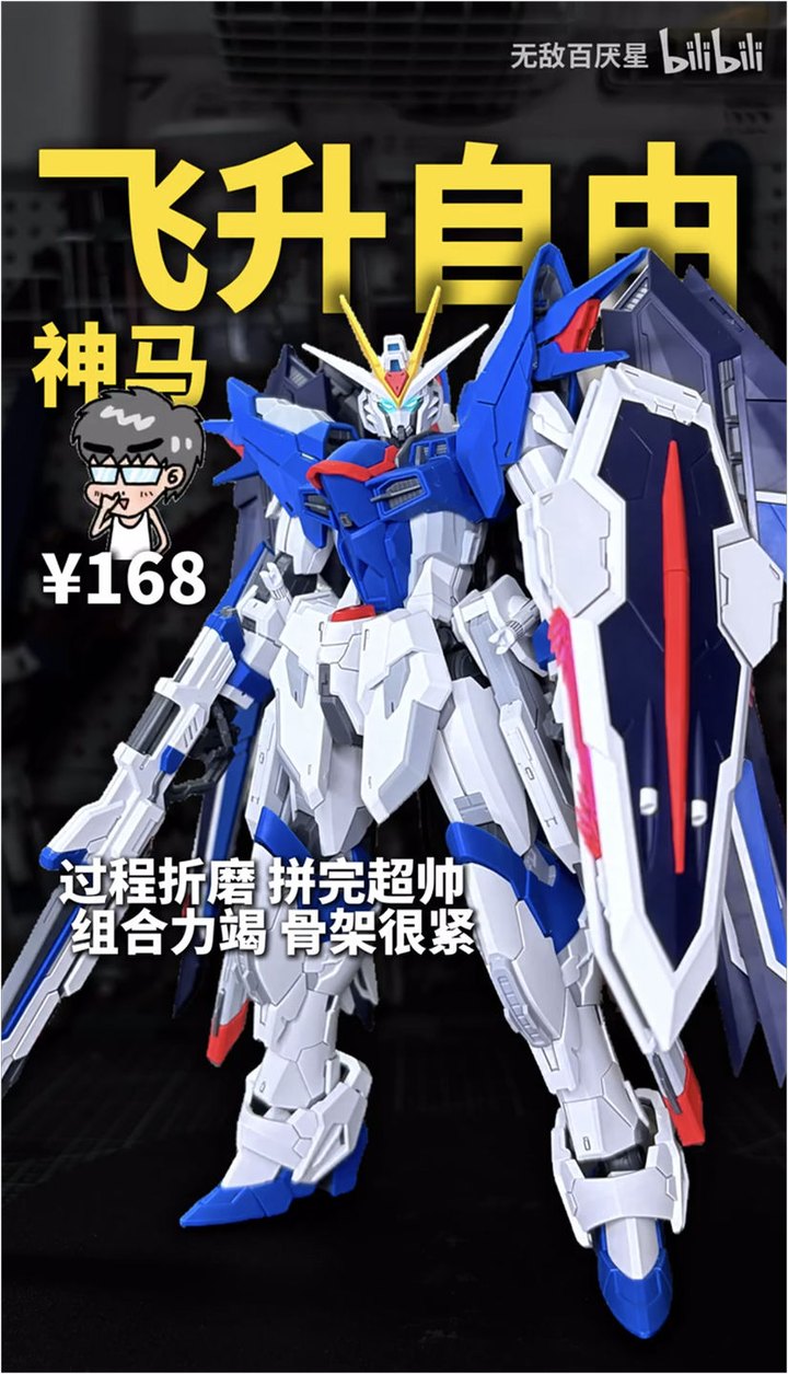 Speedrun Build Shenma MG 1/100 Rising Freedom