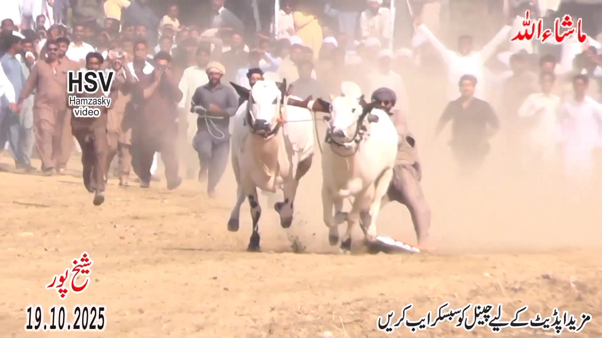 آیا داند ” چیمپین پٹاخہ بالڑے آلہّ “ تے ” چیمپین کنگ آف رٹہ ”۔۔۔۔🥹 تین ...