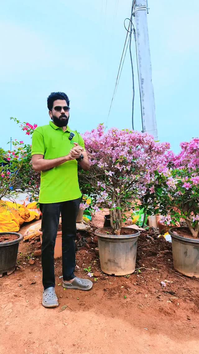 🌺... - Green Formula Landscape and Gardening Solution | Facebook