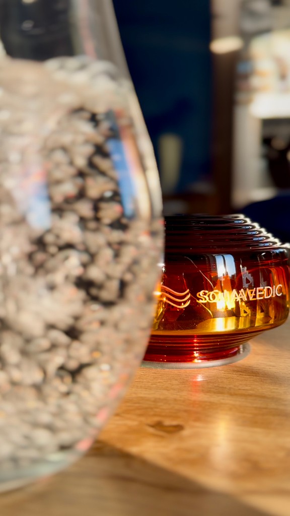 Somavedic Technologies | San Francisco CA