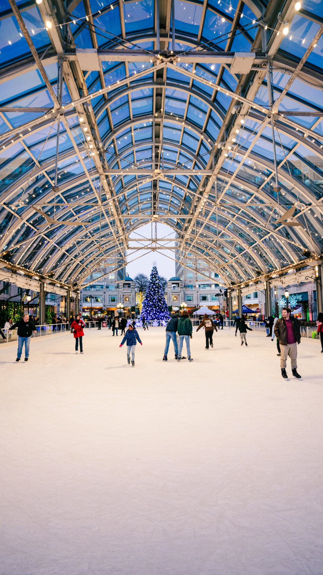 Your favorite winter tradition is almost back! ️ The RTC ice rink will ...