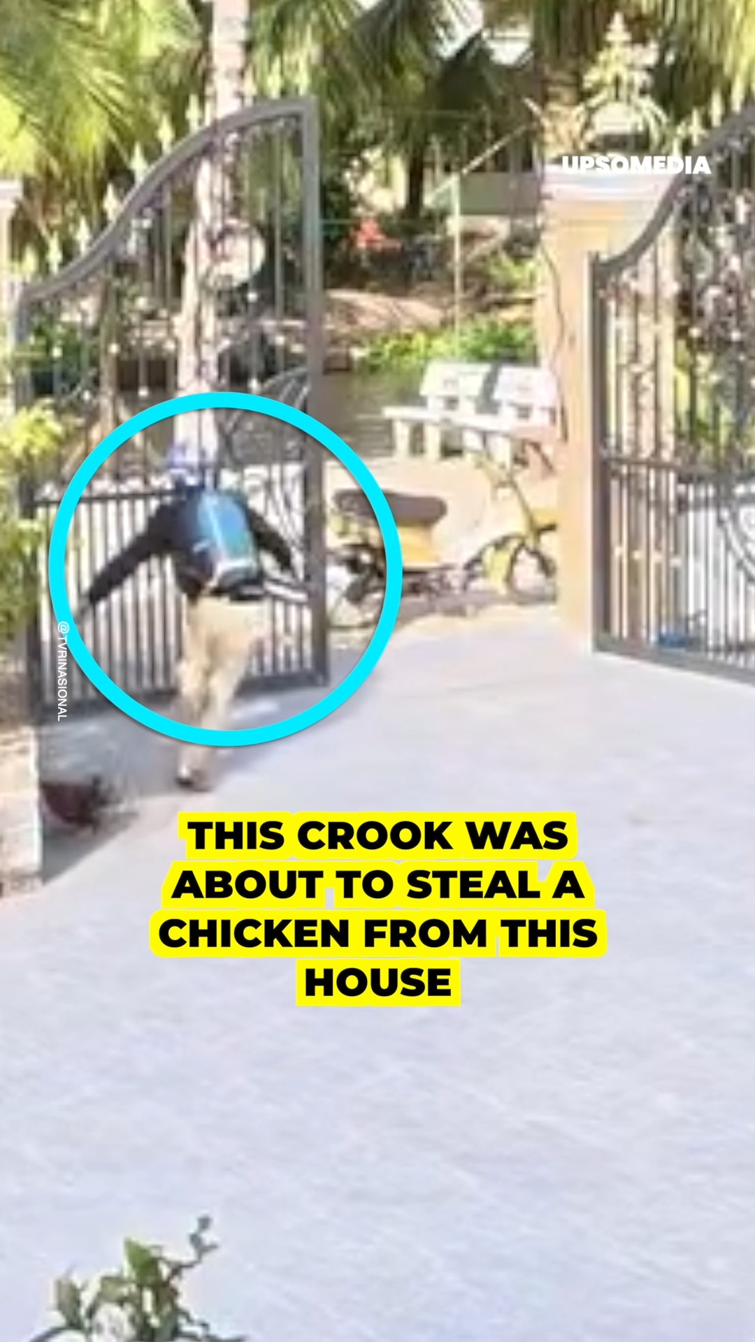 The Kiwi - The thief thought he could get away, but the... | Facebook