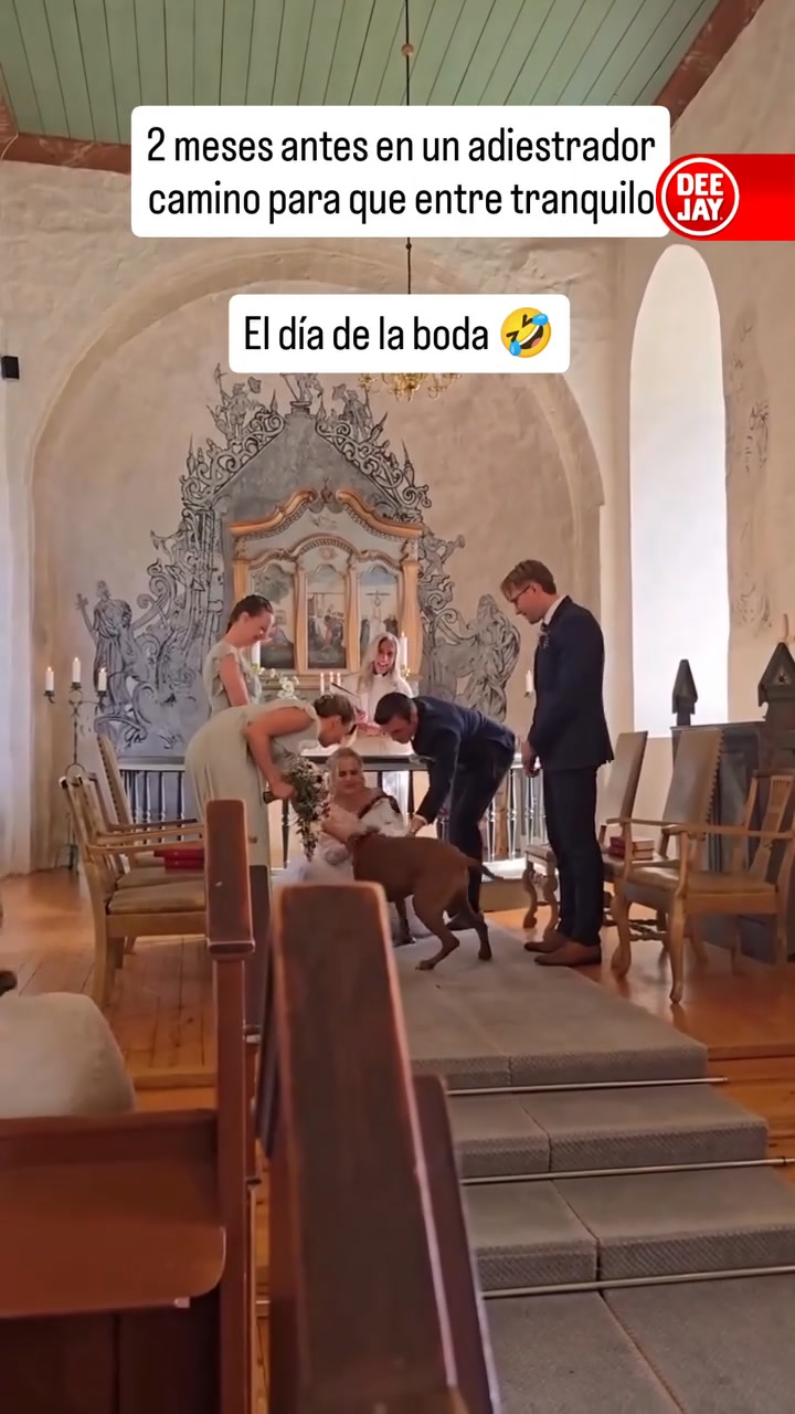 Dopo due mesi di addestramento, un cagnolone ha fatto il suo grande ...