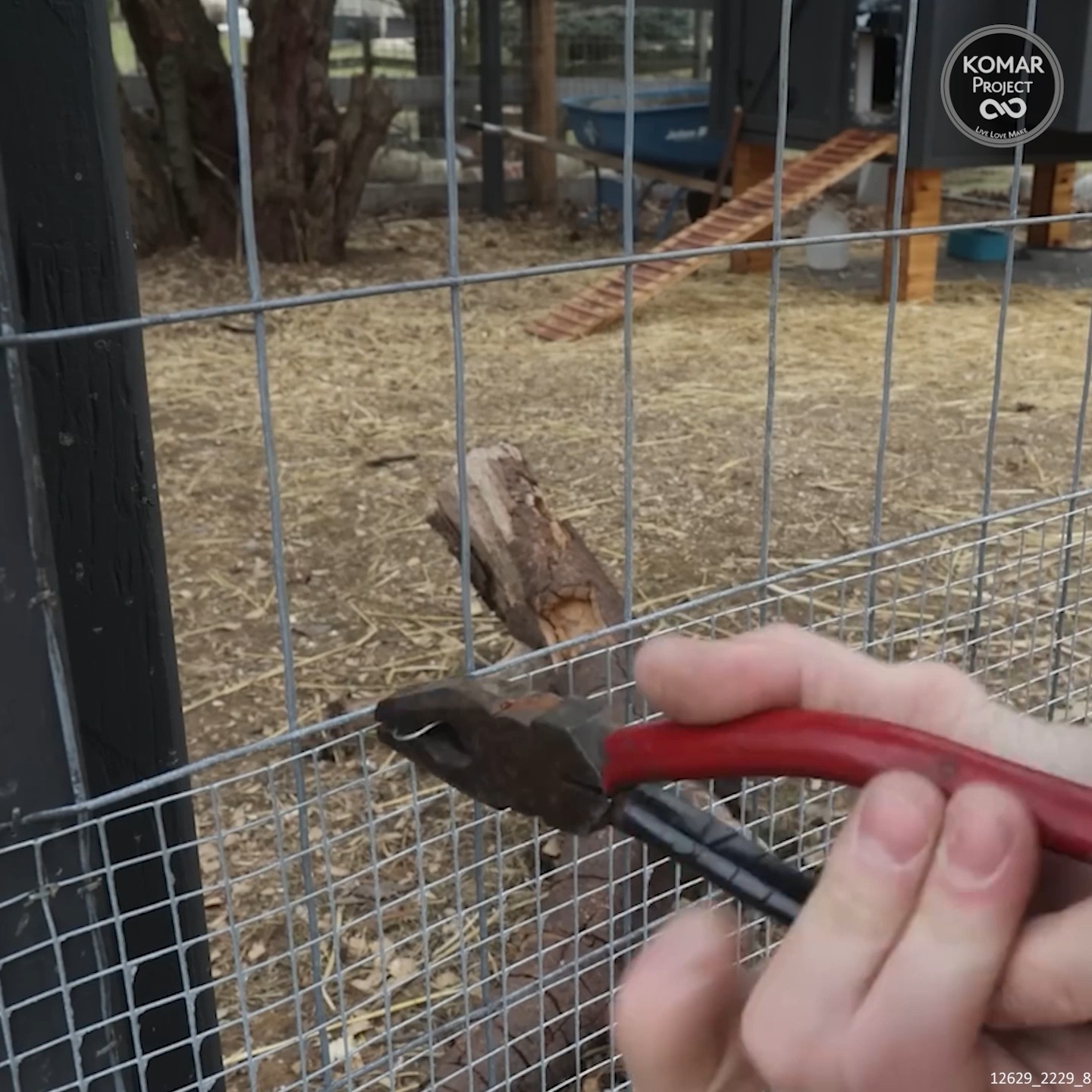 Protecting your chicken flock from predators can be stressful, but you ...