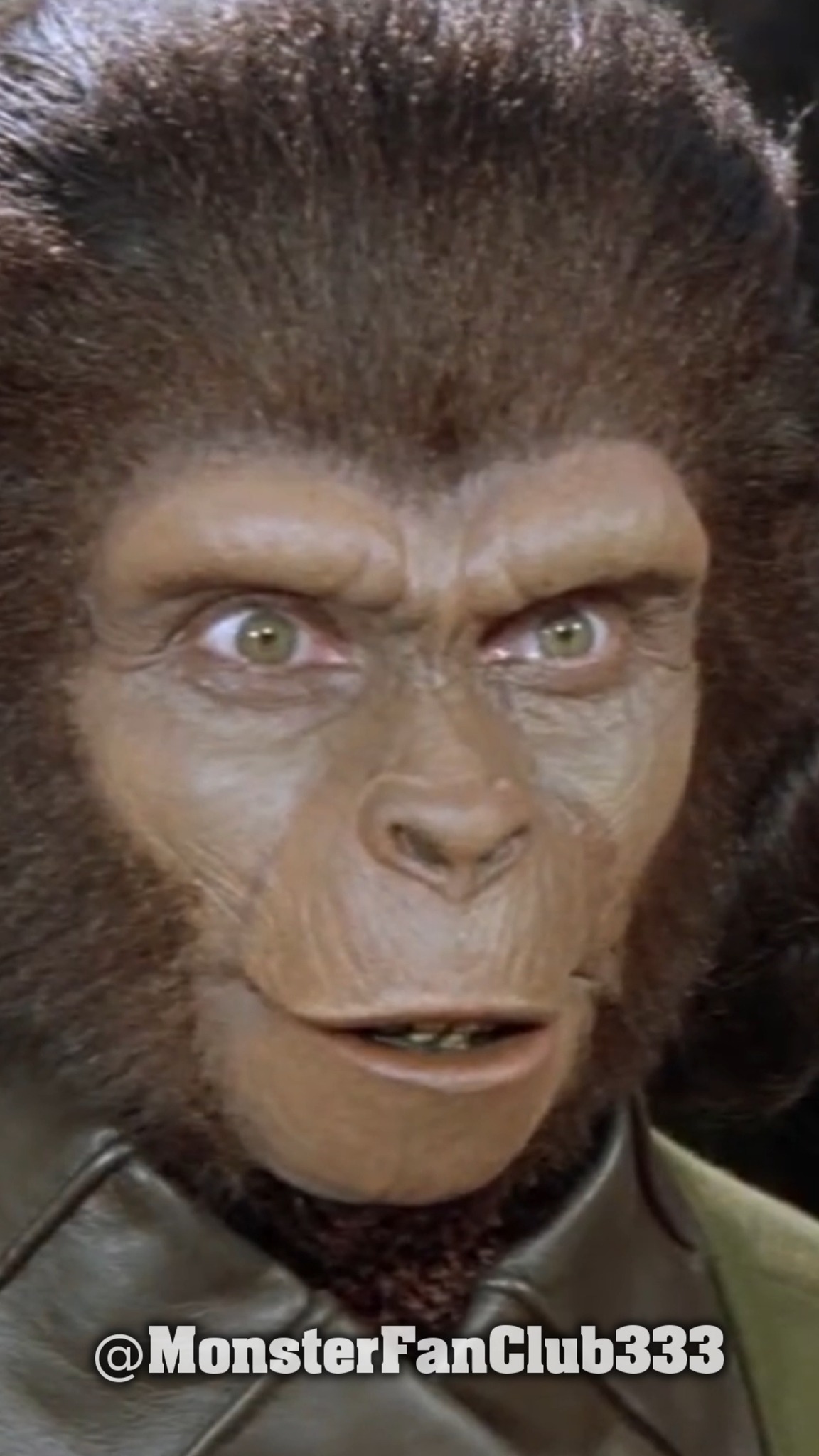 Taylor returns home in Planet of the Apes