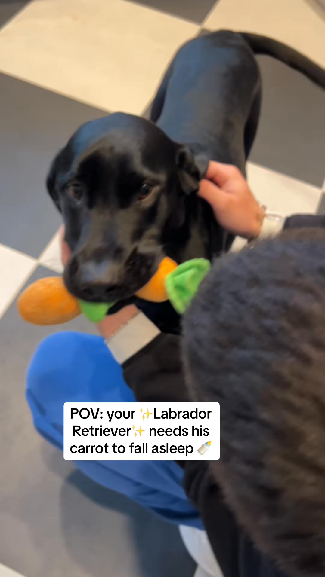 just a baby 🥹 (7337044898186661166) #relatable #satisf... #funny #dogs ...