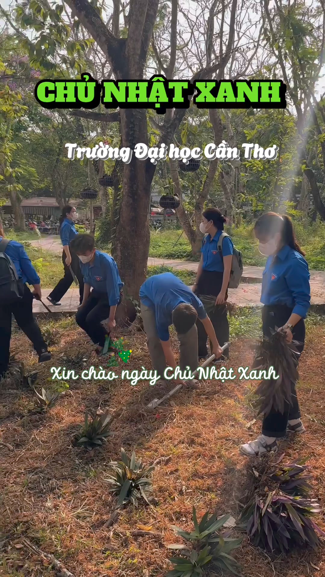 Recap hoạt động “Ngày chủ nhật xanh” của Trường Đại học Cần Thơ 🪴# ...