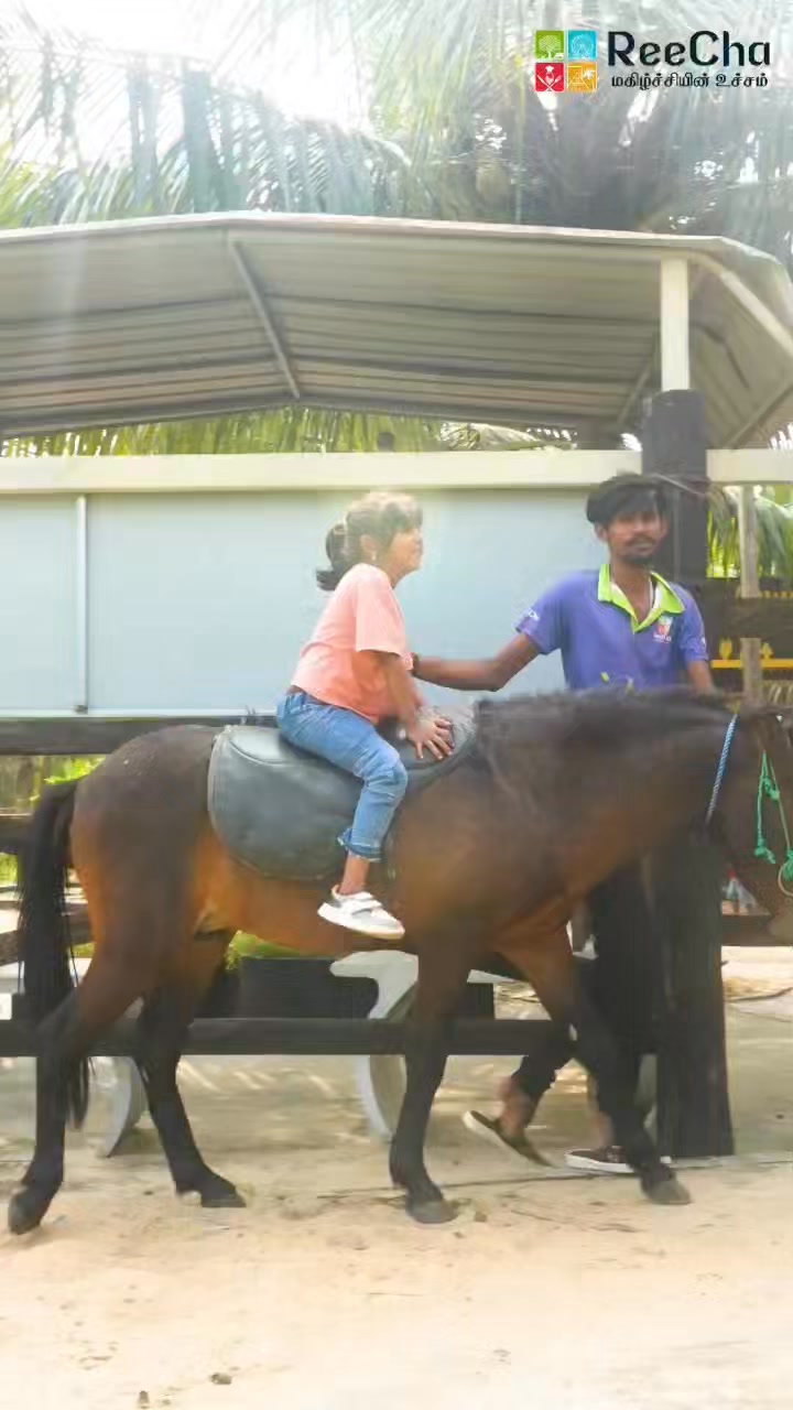 🐴😍 #ReeCha #horseriding #adventure #iyakkachchi #kilinochchi | ReeCha ...
