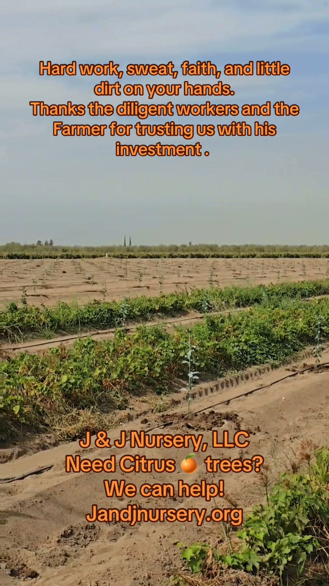 J & J Nursery, LLC. | Woodlake CA