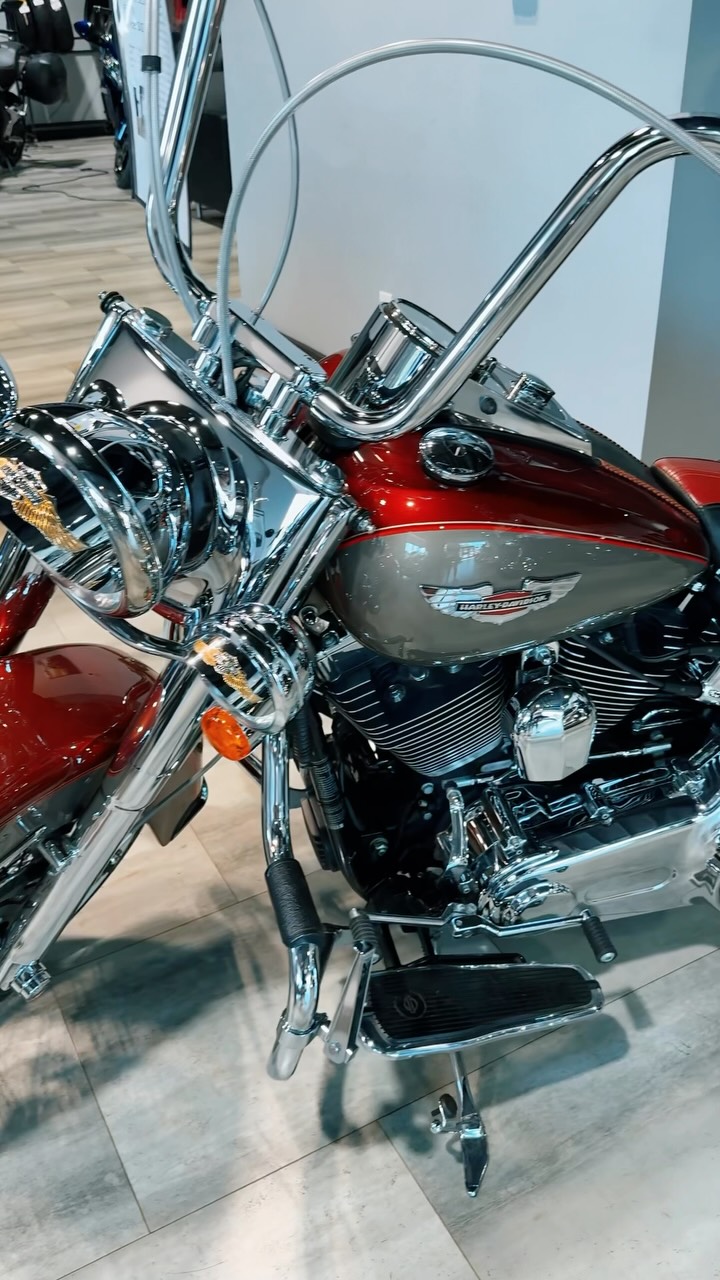 専用ページD Cortese Cycle Sales | Rochester NY