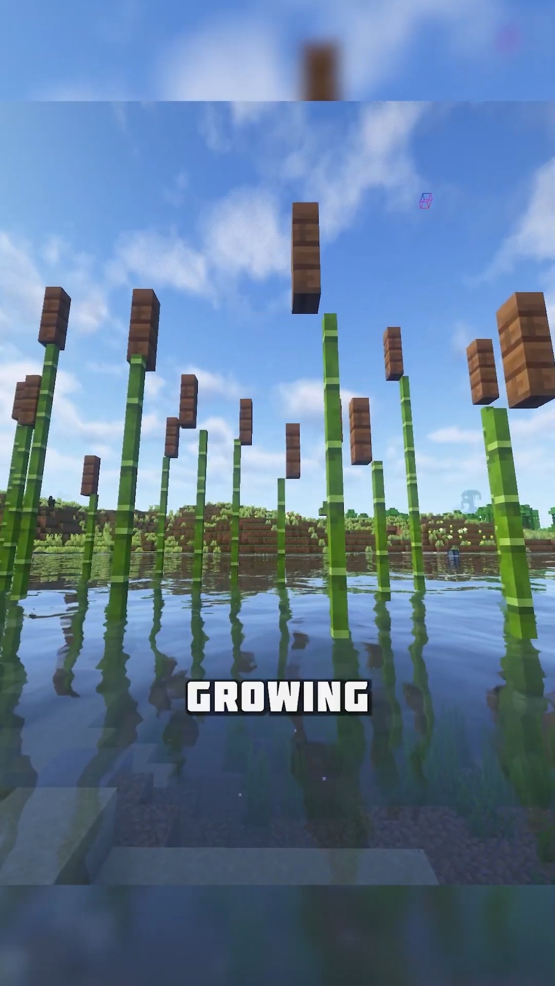 Cattail in Minecraft #minecraft #reels | Serito gaming | Facebook
