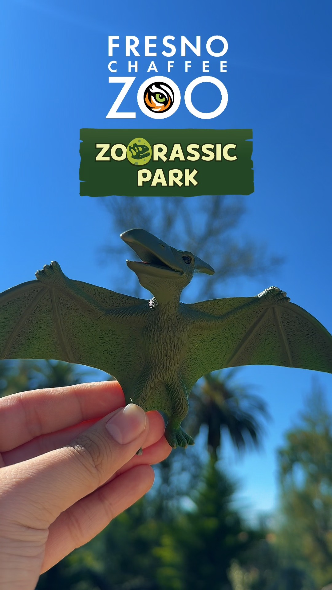 Ready to trade toy dinos for the real thing? Zoorassic Park is