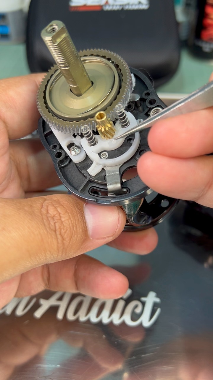 Inside review of Seasir DC Round Pro | Ocean Addict