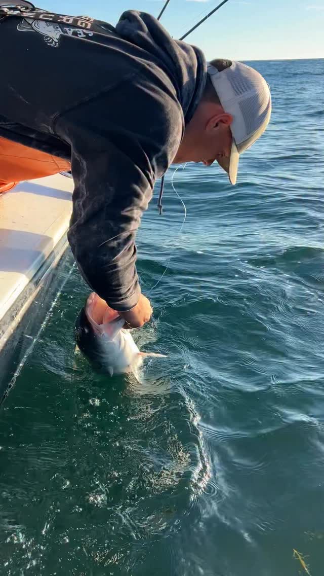 We caught a fish with a TAG in it! What was it for?? Marine research is ...