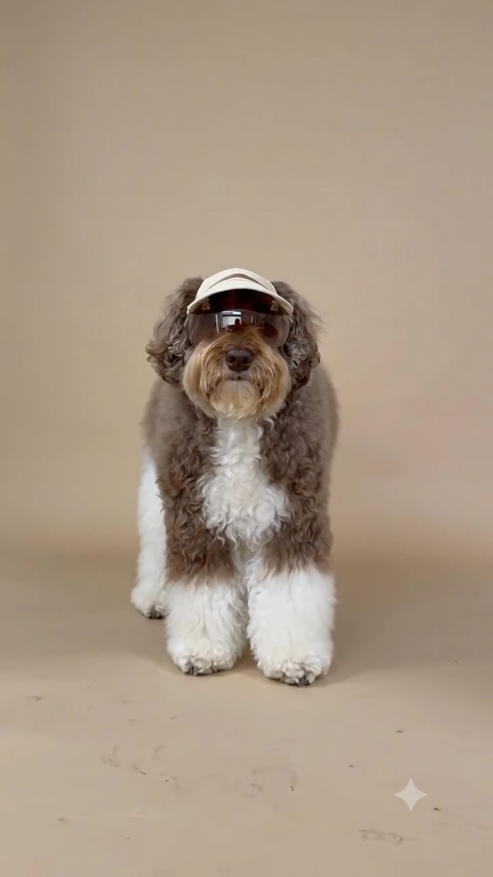 犬の帽子のお店 I.M.GALLERY | Tachikawa Tokyo