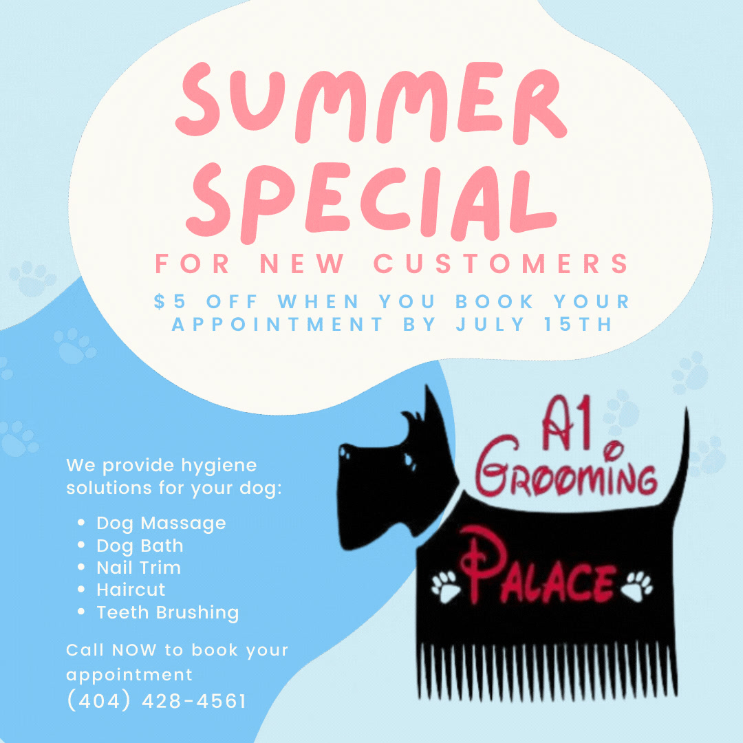 A1 Grooming Palace Home