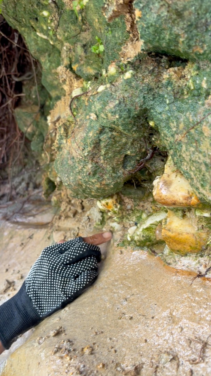 Digging up $999 worth of rocks, on a cliff from a former gold mine. # ...