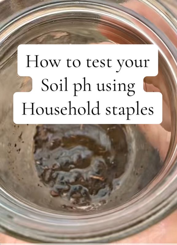 How to test your soil PH the old fashioned way for free #soilph #garden ...