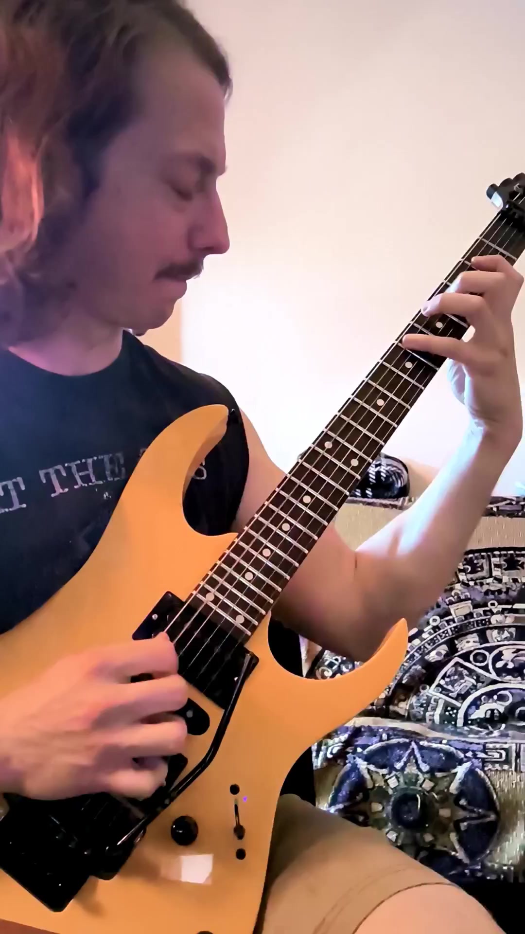 The Dimarzio Fusion Edge !!! Absolutely amazing !!! I'm literally