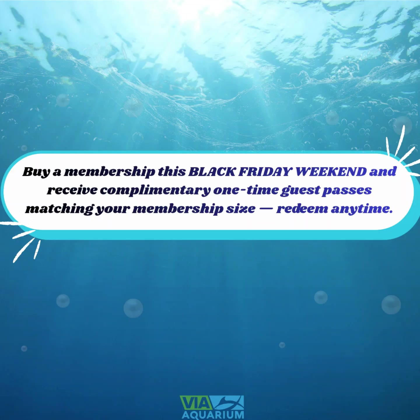 🚨 BLACK FRIDAY WEEKEND ONLY! 🚨 Buy a membership Black Friday Weekend ...