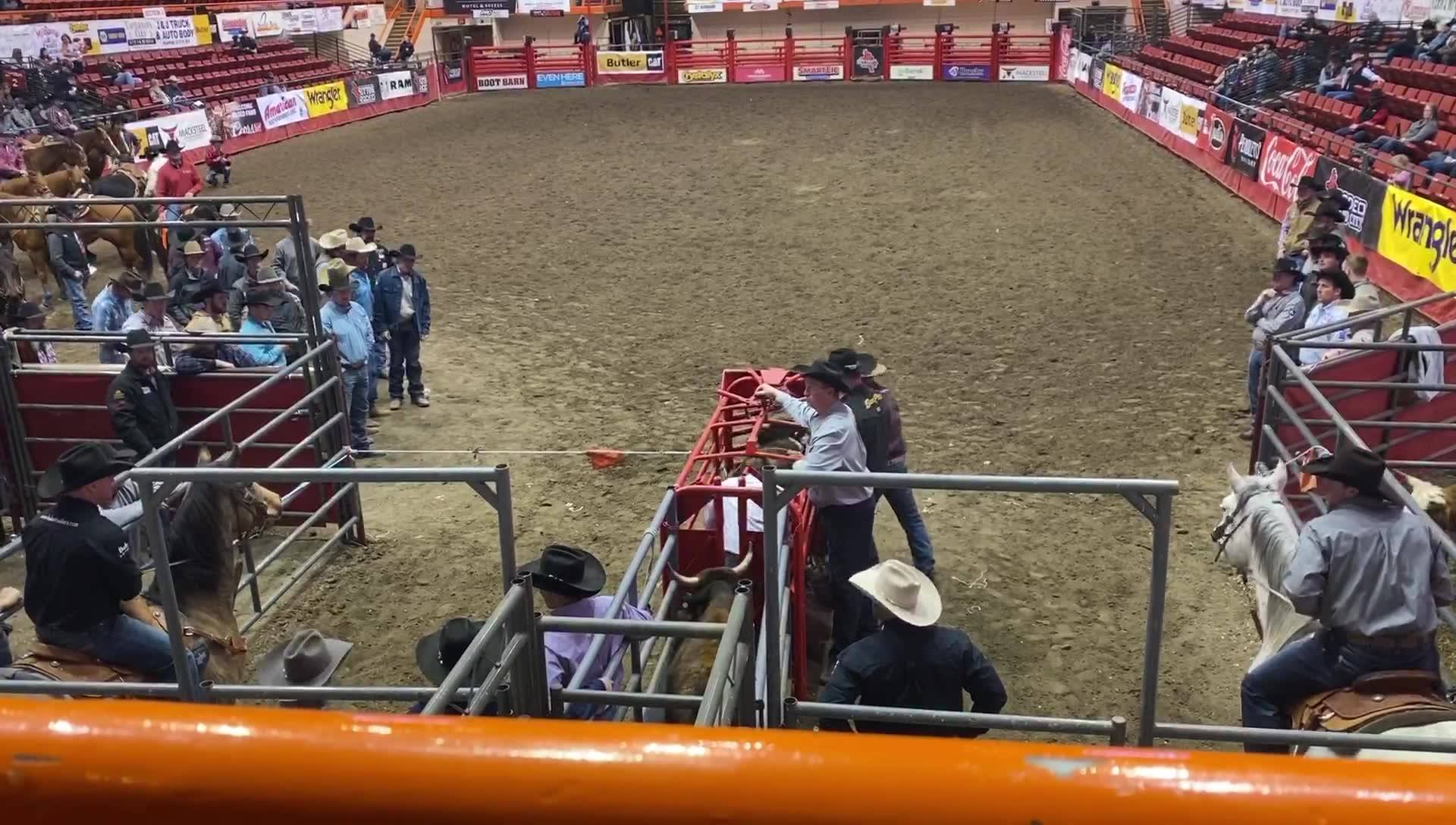 Kyle Whitaker -rodeo cowboy