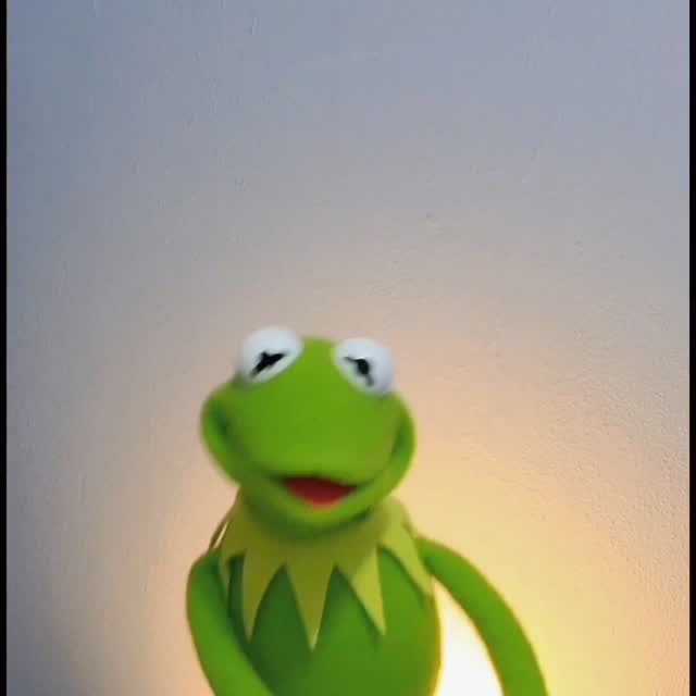 Kermit the Frog 🤝 Kermit the Grof | Sesame Street
